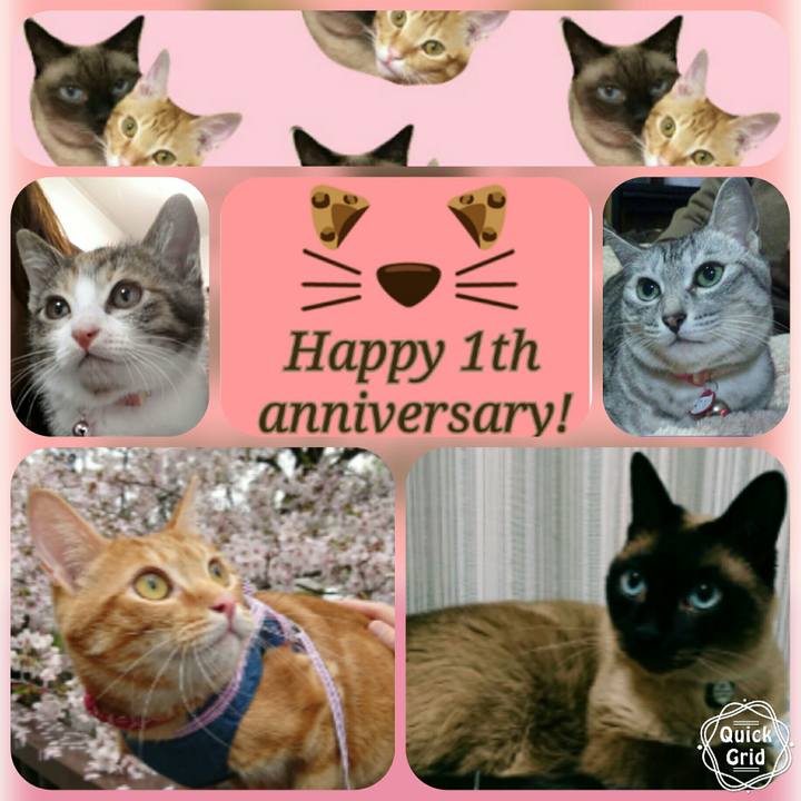 4f490274 7761 44e6 b913 7282668f93eb