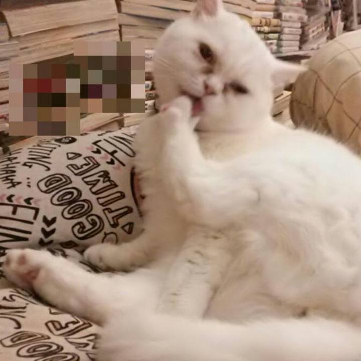 4f4984e5 d331 4bf9 a143 716116d48248