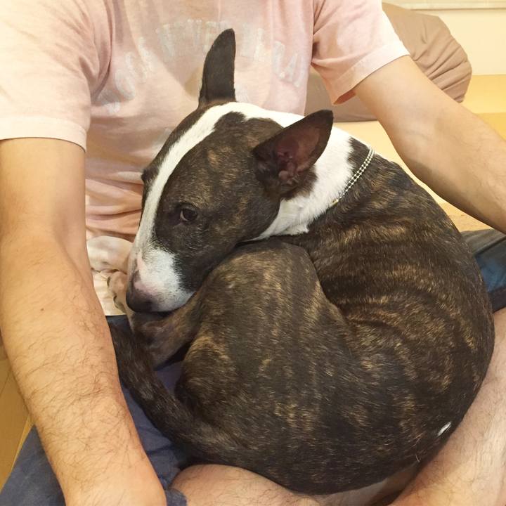 4f4aa33c b206 4509 b528 b81c5bbeec14