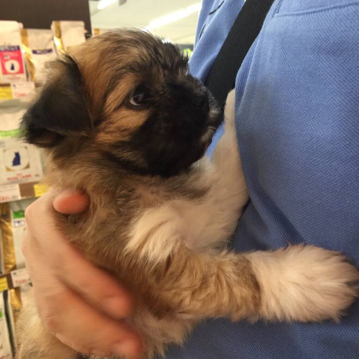 4f4ad87f 44d2 4374 9afa 4ef138bffa85