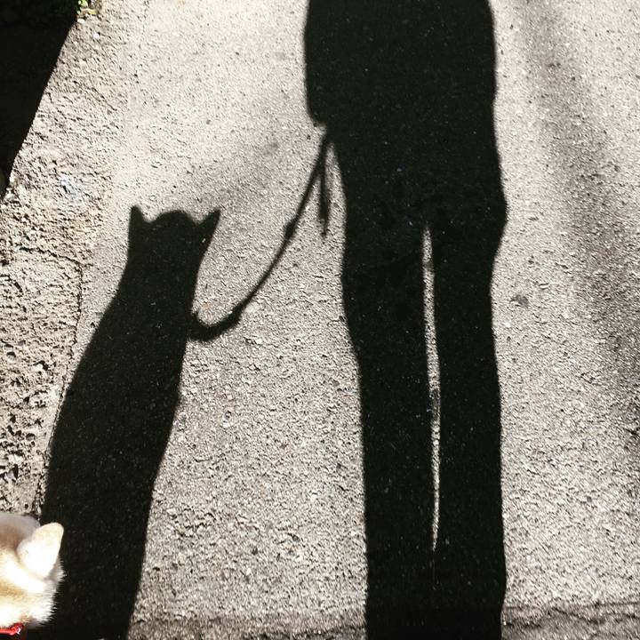 4f4aefb7 a894 46d8 b9e6 1d34ddd05b8d