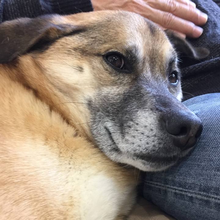 4f4b5670 6f7b 4b70 b78d 5c9a0e155748