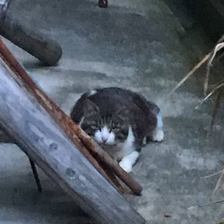 4f4b973f b05a 4df6 b7af 77d3c4ddbb40