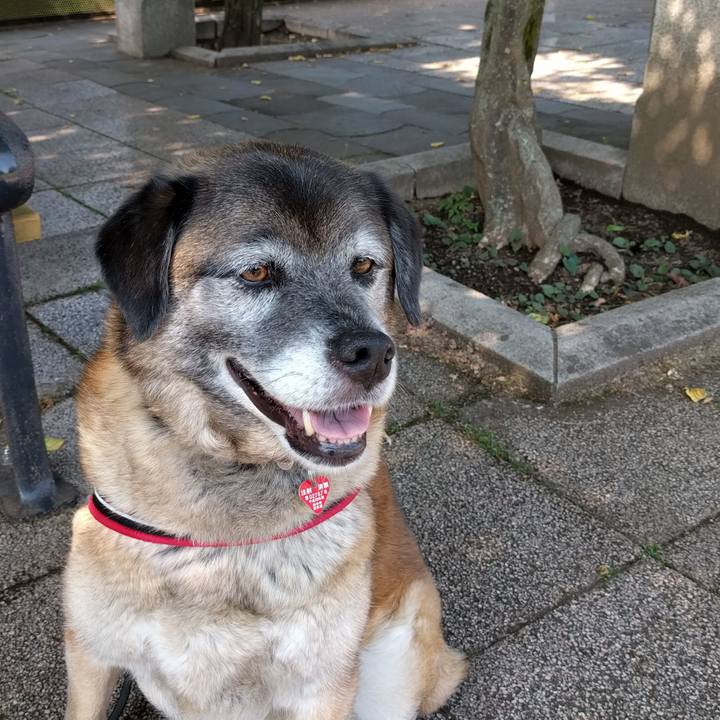 4f4c0040 0bd0 4f1c 9ecb 2491561857d8