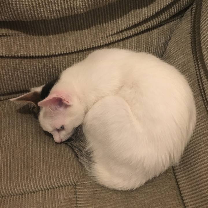 4f4c785d 4cbd 4de9 91c4 de5f99f665db