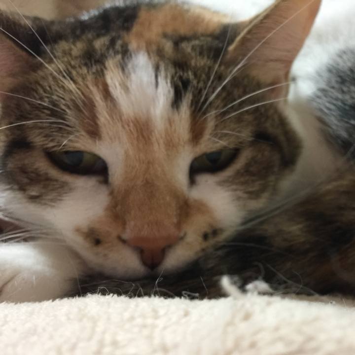 4f4cc19f efbf 40e3 98e3 7c95dff0232f