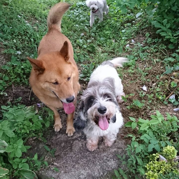 4f4d44f6 9d41 442e 97f2 493eec88a3c5