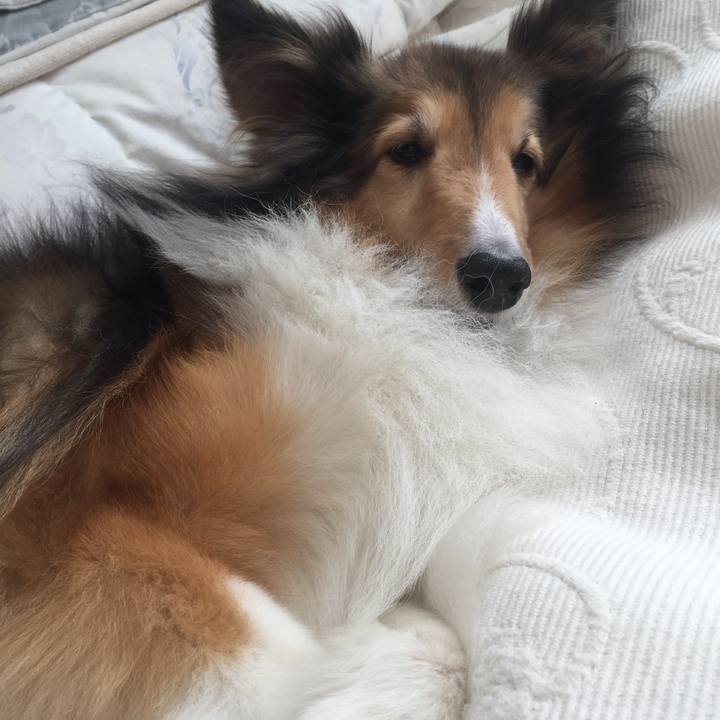 4f4d52e0 4621 47e0 8956 0a547a71dd62