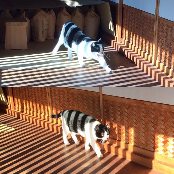 4f4da505 ac2f 4042 af72 c1d4e4c2a1ab