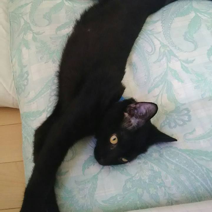 4f4dc833 6b69 4190 a1b3 37831b62a3c7