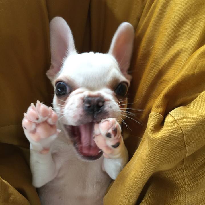 4f4e4182 a7c4 4143 ac46 00e7dd7ec8ef