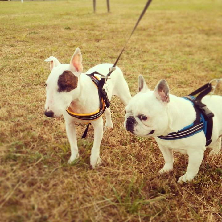 4f4e4ace eaf3 4e4c a289 33cdfab6f104