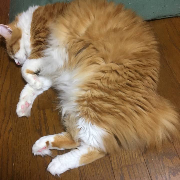 4f4e8325 35b1 448c 9fa0 213f83e44cb9