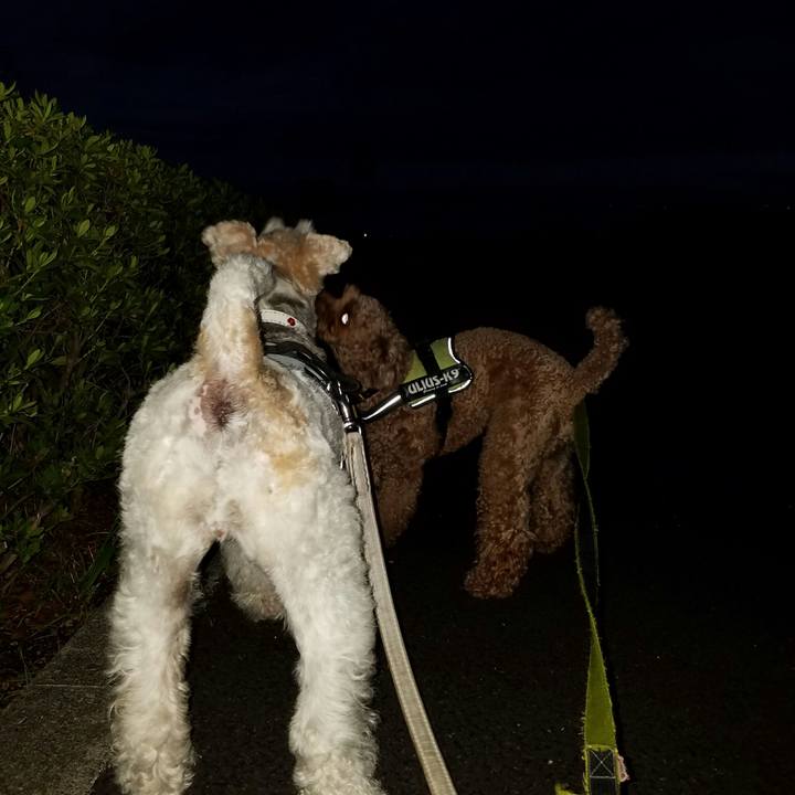 4f4ecfee 94a0 45c1 b4b6 a694a348c590