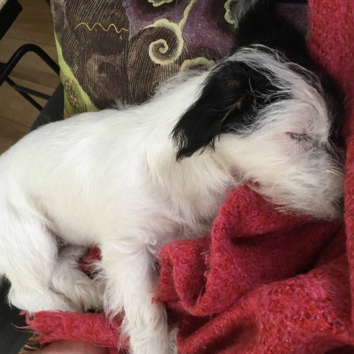 4f4efe3e 0982 4c54 8d08 0bb61188b153