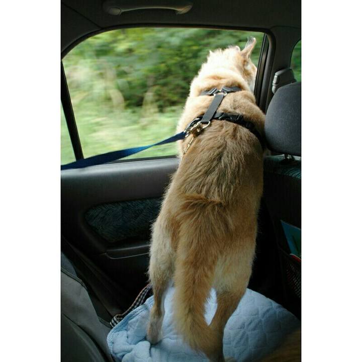 4f4fd176 bd66 4113 b2d2 097c092956e2