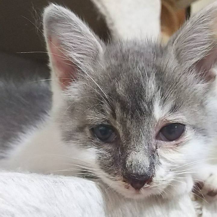 4f50502a a3e1 41d0 b81d 3d40694cf008