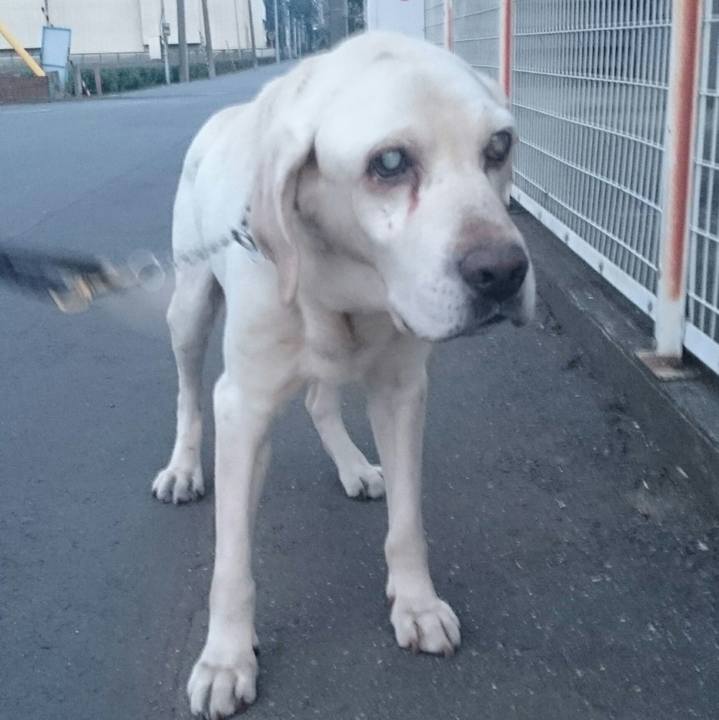 4f513cb1 60c1 4cfb 9db8 3b084f32b7bf