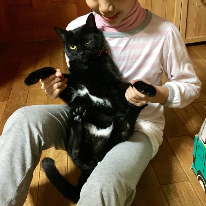 4f514526 61b8 43e4 952b 02d1c1df4a55