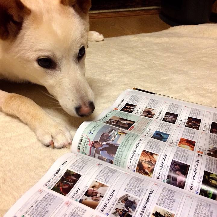 4f522dc1 1c6f 4da8 b3a3 652925469a72