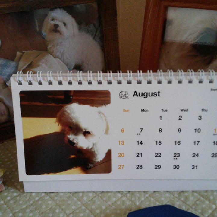 4f52d585 8999 4386 b641 bca606374bab