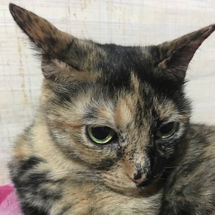 4f52fc4b e16f 46dd 9a24 9caf45571554