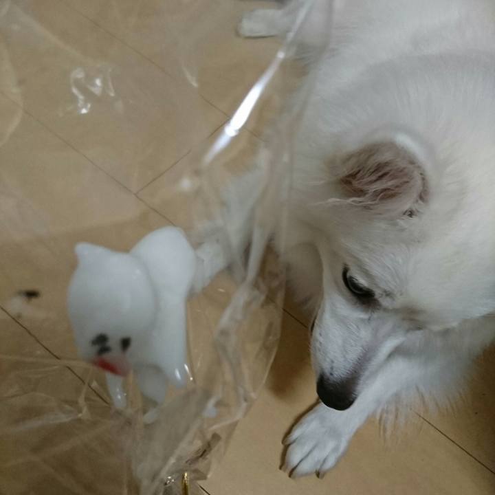 4f535aed 476f 484a 9aeb ef139da2bf41