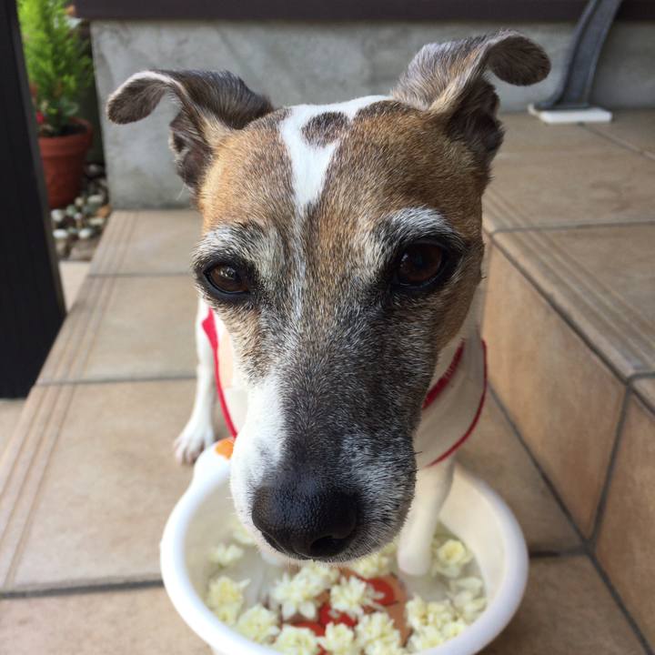 4f53651b 12d7 4d1c 9ede bef3a54fdcb4