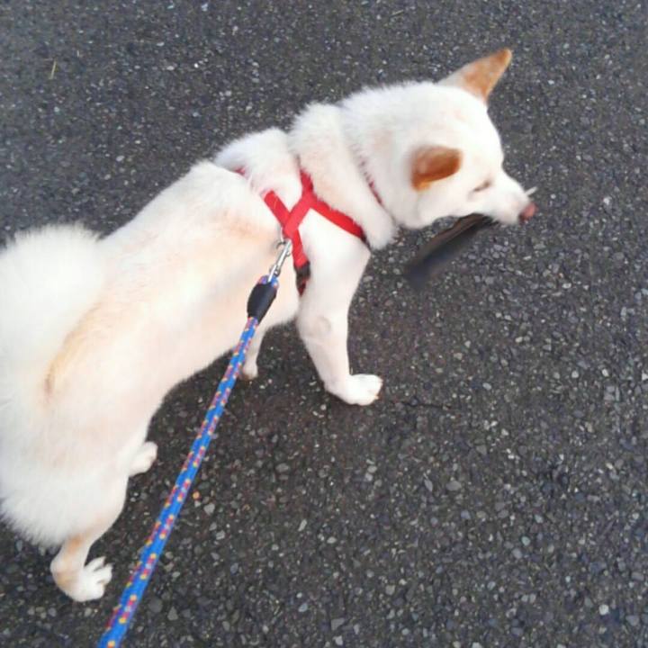 4f53d6f5 deea 411e 8f4b 543133583bb1