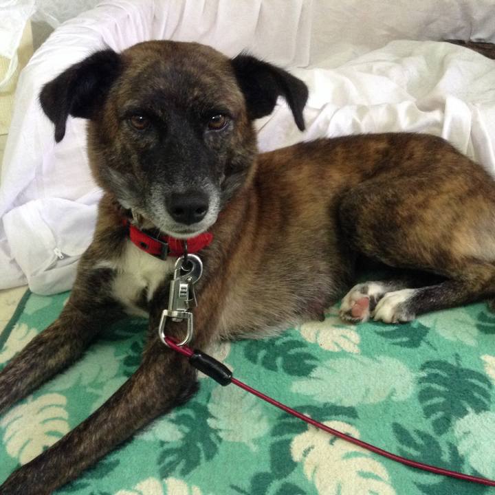 4f53f3c4 2796 482b b007 44cf4a47cc76