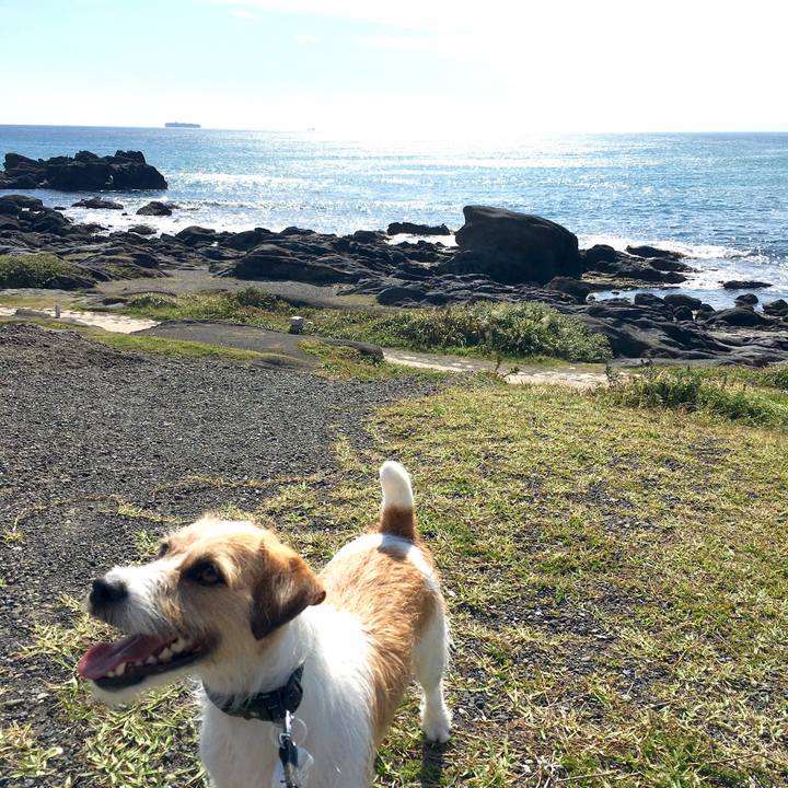 4f544a5e 4f0c 47d5 8fa4 81451ebd9ab1