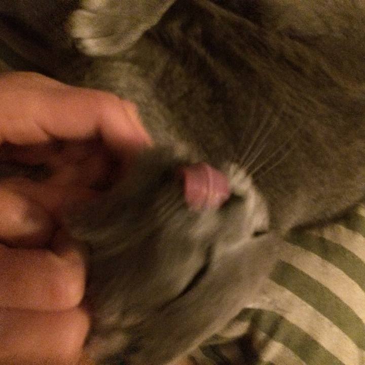 4f5458a7 71e0 487f 8351 d376d25361e6