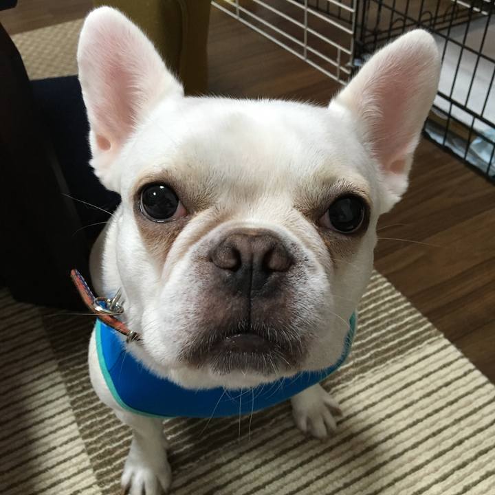 4f545ef9 70f2 4c71 a521 cd614e2e22ac