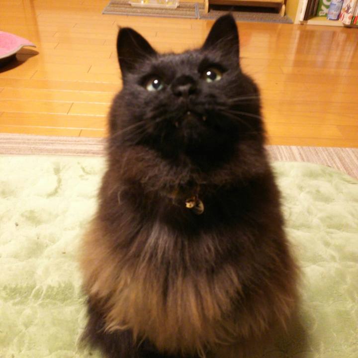 4f54b854 df50 409e 8de4 95f229aefb82