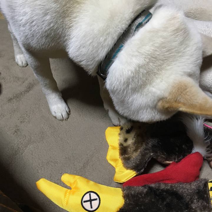 4f54bfa9 f480 4455 b95a 99a628be9a10