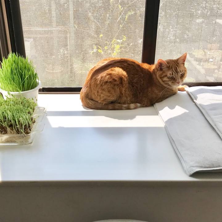 4f54f44b cd53 4950 a876 2e08f3ad9387