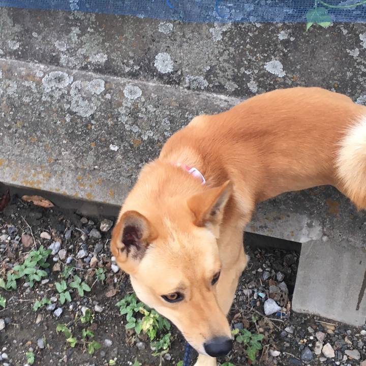 4f55c472 569e 4d69 b302 5b66913fe08f