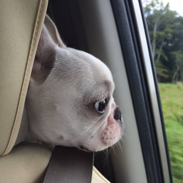 4f55c66b 2198 41d4 920c a94fba1fc4d7