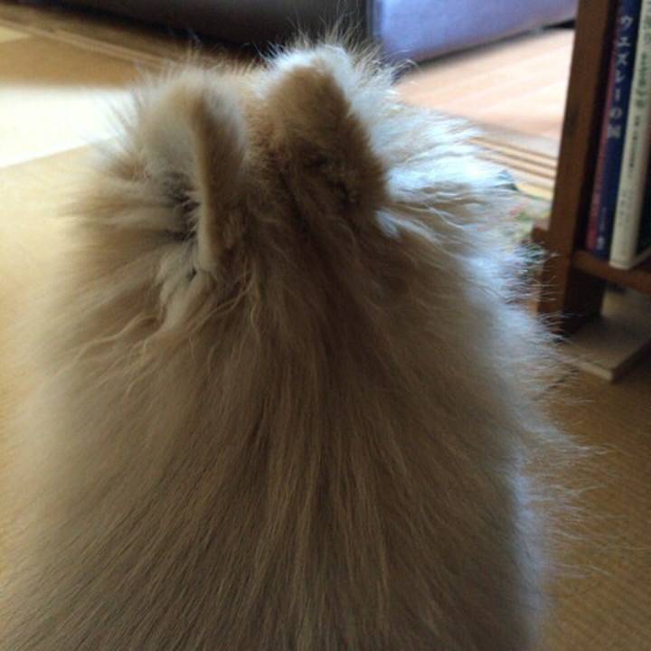 4f55d358 2ba3 476b 846e 089df34f9b8b