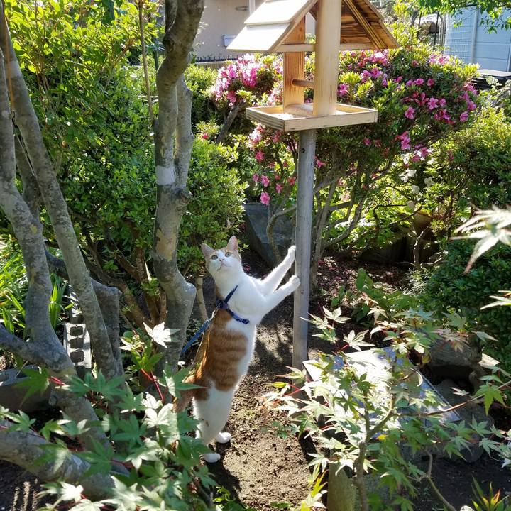 4f56f34a 0ba7 434e 8ec2 dbd216e700a5