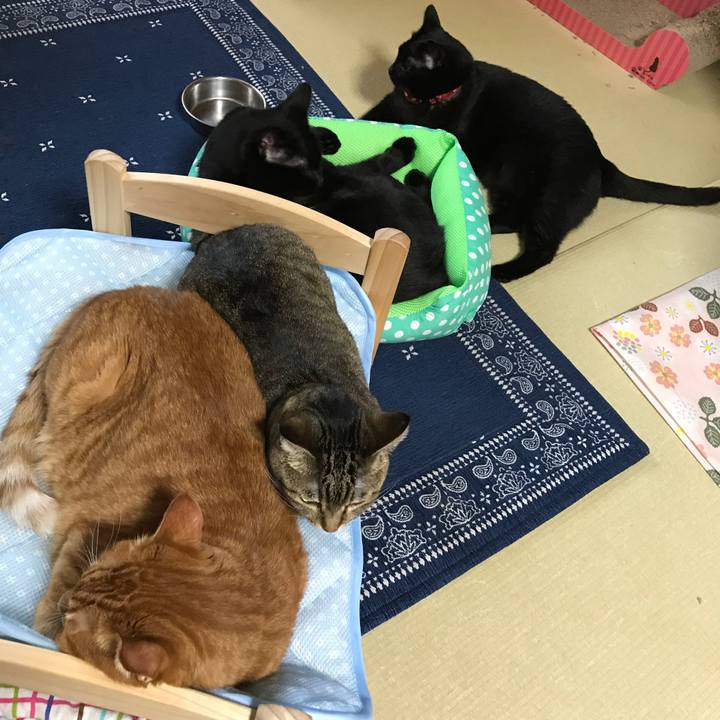 4f57410e 9b69 4819 a994 b900ae20eaad