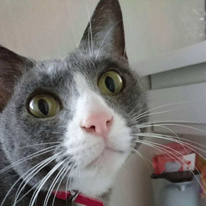 4f57b563 1e7e 4aba a70e 1705a6a773e4