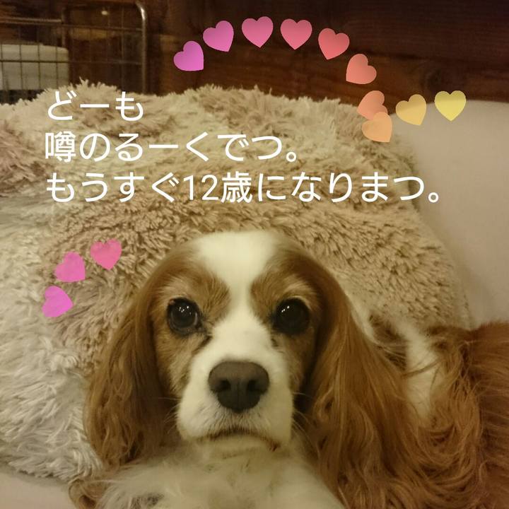 4f57fe36 2e89 464b 9818 2251f9e7cc18