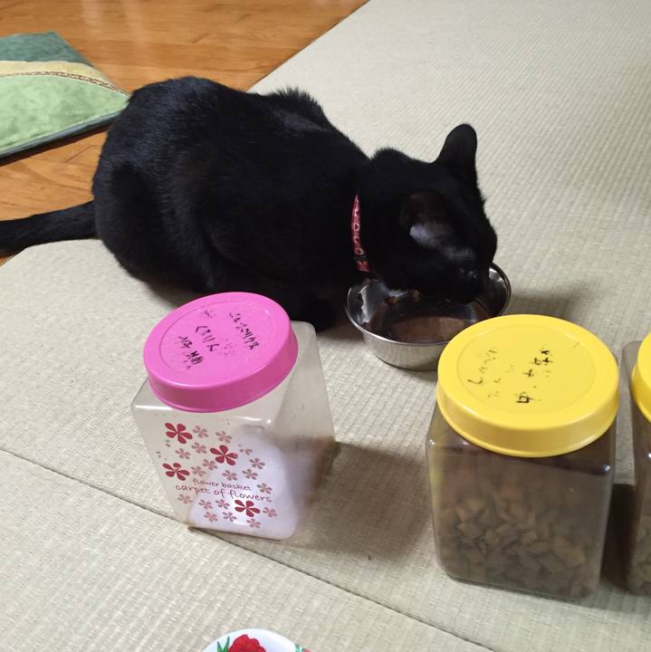 4f581c11 327a 42d3 8def e504508a718f