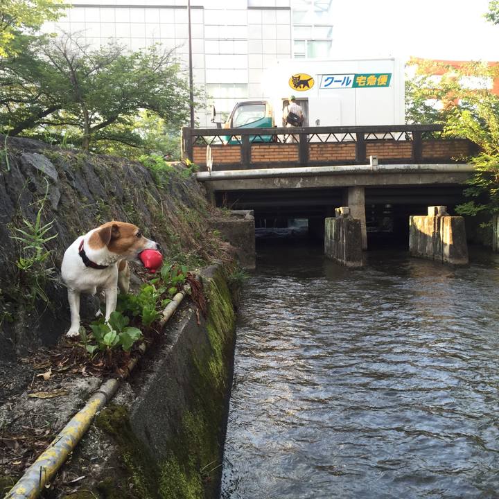 4f583acd 2bce 4a94 b284 ee865216db7f