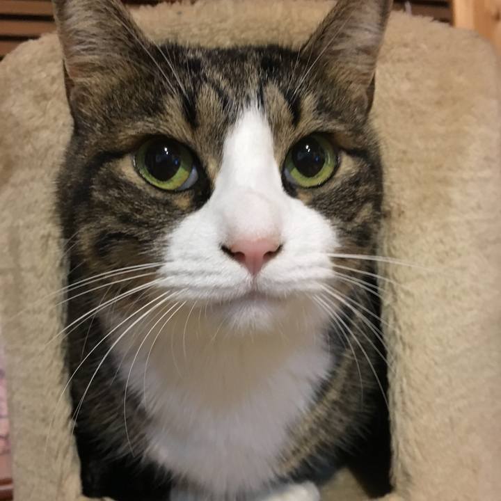 4f592f52 9102 46a1 ae16 5caface2b90e