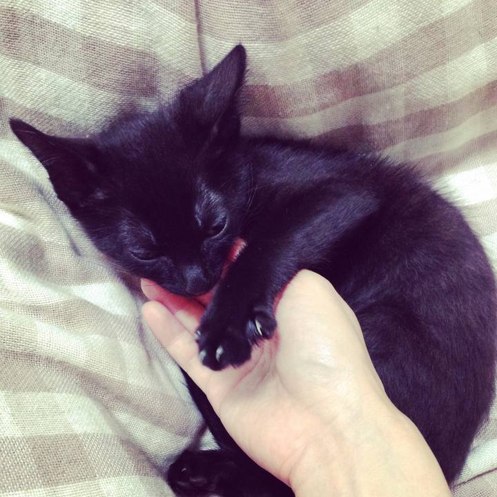 4f597844 6c16 40fc 9611 13713f921ce0