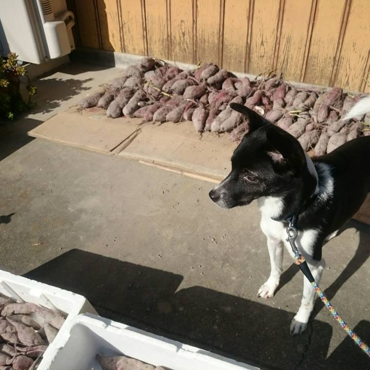 4f59bafe 0aa2 464b 8b41 1d4c019a49ff