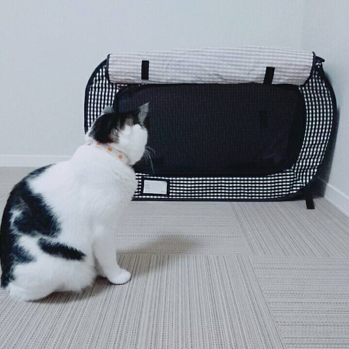 4f59c006 e7ea 4788 a6bc 10271e0146da