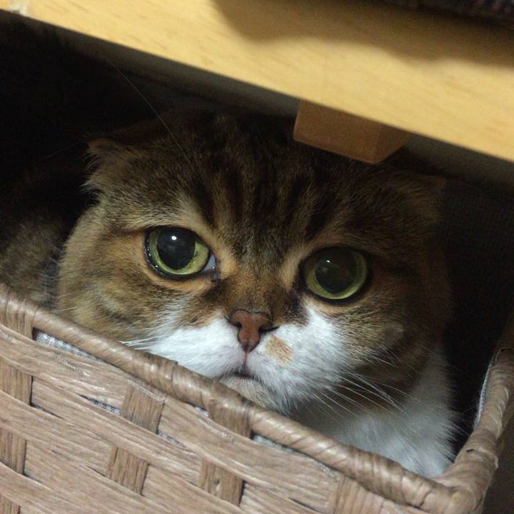 4f59c20c 58d7 4110 b6b9 025088f4ec50